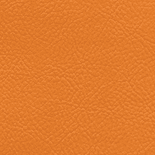 Aries-529-оранжевый