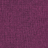 Kiton-14-Фиолетовый